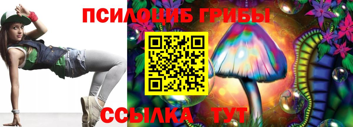 Галлюциногенные грибы Psilocybe  Вход с VPN  Прохладный  Псилоцибиновые грибы Psilocybine cubensis 